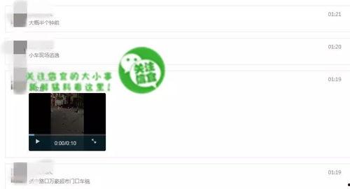 爆料后的视频从哪里看到,从爆料到内容生成的幕后故事  第3张